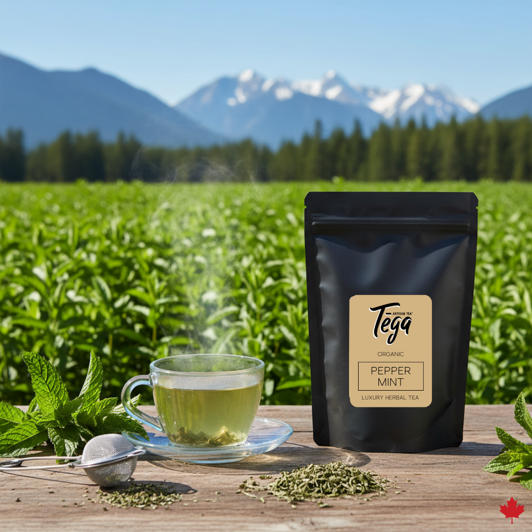 Peppermint Herbal Tea | Organic
