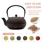 Large Cast Iron Teapot 6-Cup