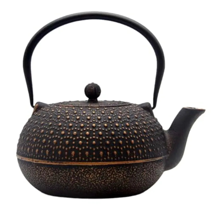 Large Cast Iron Teapot 6-Cup
