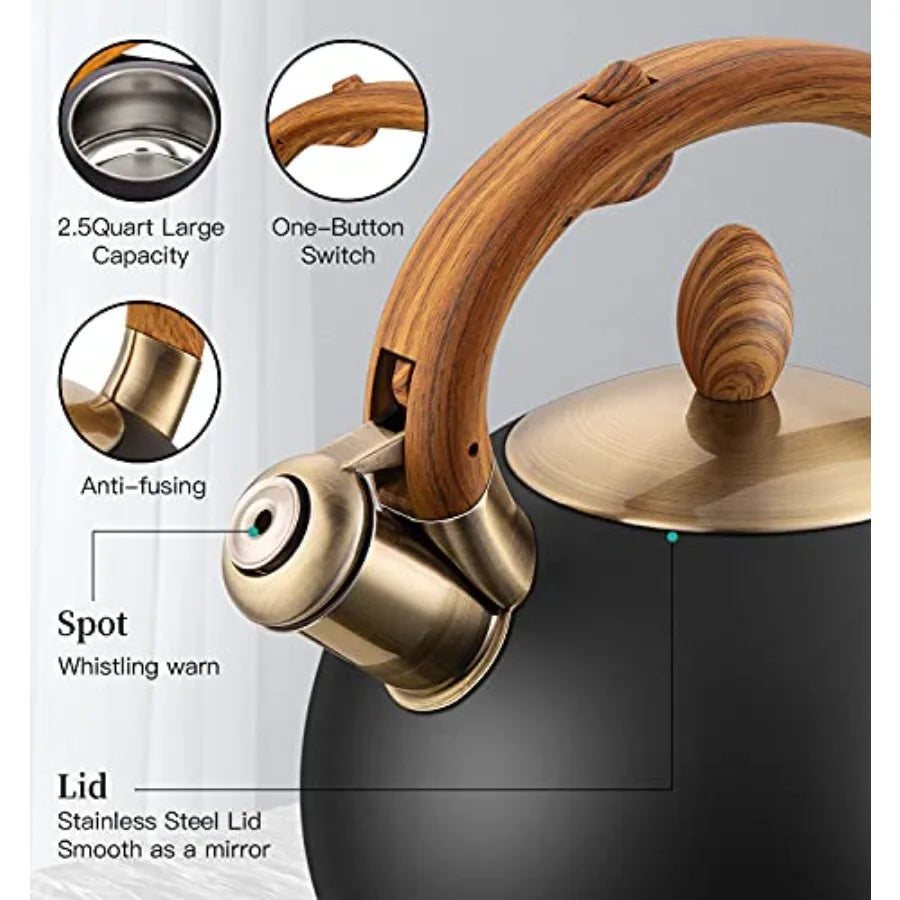 Stainless Steel Tea Kettle 2.64QT