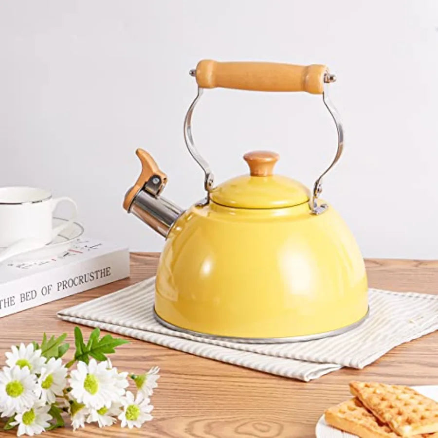 Stainless Steel Tea Kettle