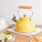 Stainless Steel Tea Kettle