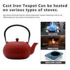 Red Cast Iron Teapot