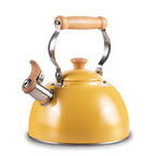 Stainless Steel Tea Kettle