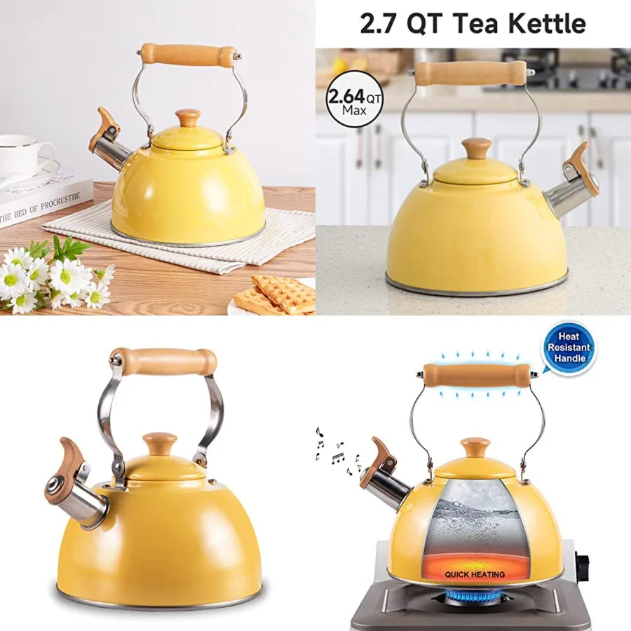 Stainless Steel Tea Kettle
