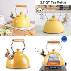 Stainless Steel Tea Kettle