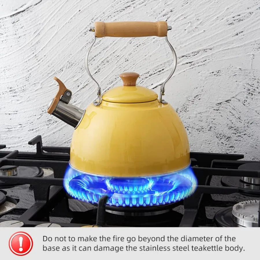 Stainless Steel Tea Kettle