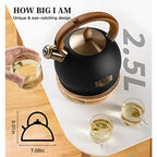 Stainless Steel Tea Kettle 2.64QT