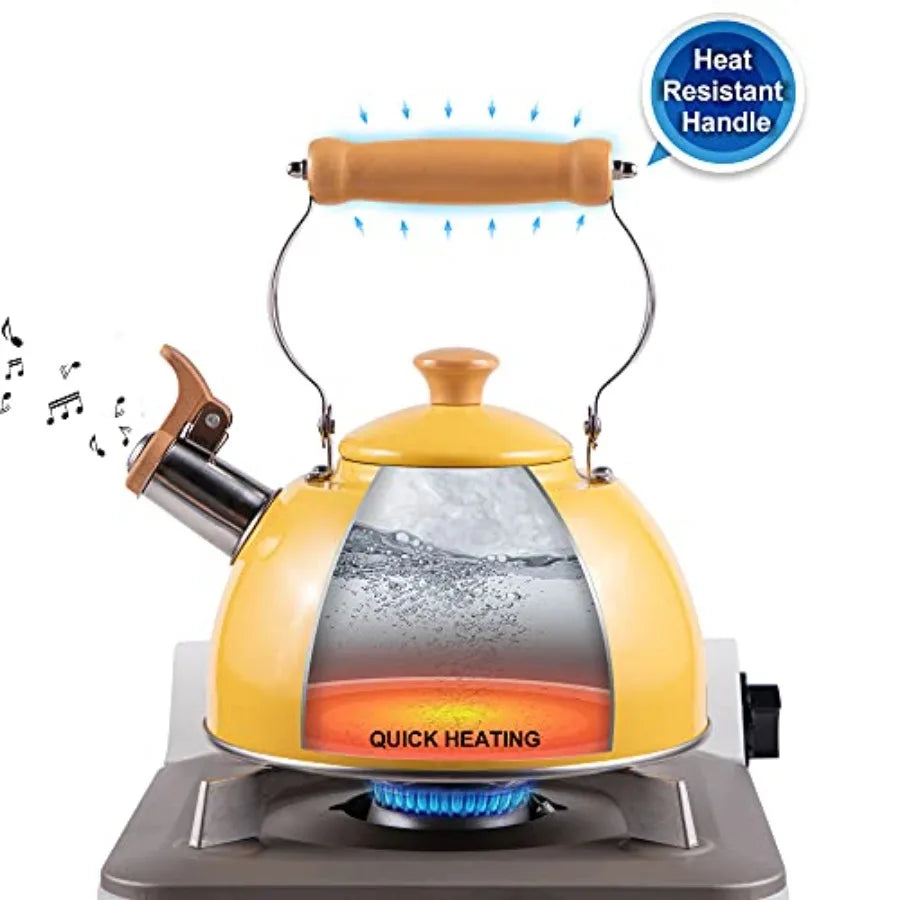 Stainless Steel Tea Kettle