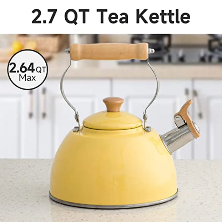 Stainless Steel Tea Kettle